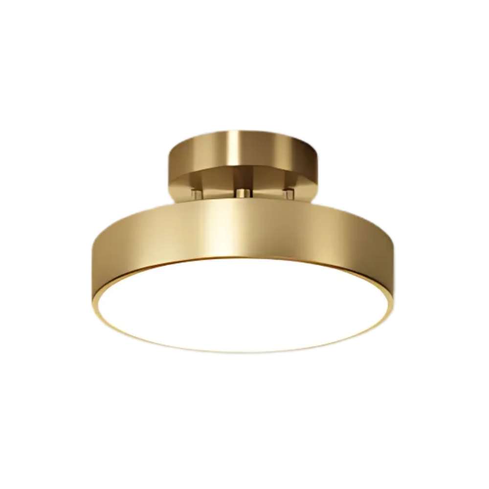 Celestara Ceiling Light for Ambient Interiors
